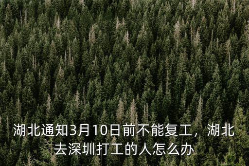 湖北通知3月10日前不能復工，湖北去深圳打工的人怎么辦