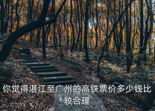 你覺得湛江至廣州的高鐵票價多少錢比較合理