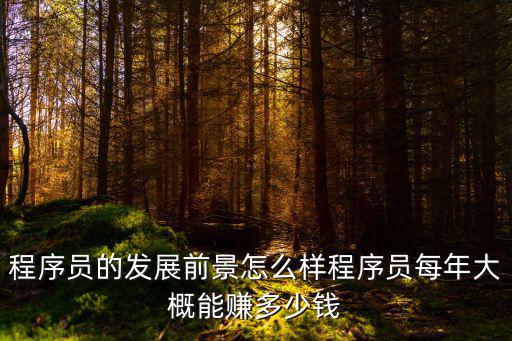 程序員一年能賺多少錢常州,程序員每年大概能賺多少錢