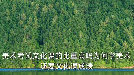 浙江學美術的話文化課占比多少,為何學美術還要文化課成績