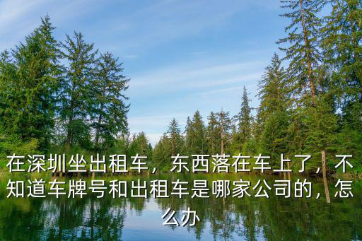 在深圳坐出租車，東西落在車上了，不知道車牌號和出租車是哪家公司的，怎么辦