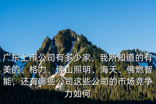 佛山多少家上市企業(yè),廣東上市公司有多少家