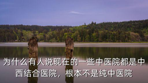 珠海中醫院英文怎么說,廣東省中醫院珠海醫院怎么樣