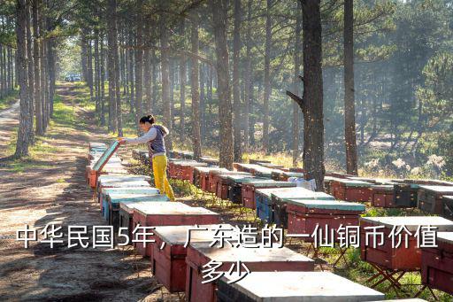 中華民國5年，廣東造的一仙銅幣價值多少