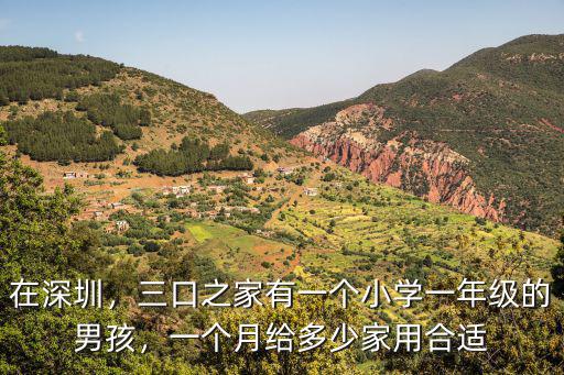 深圳公辦小學一個班的學生是多少錢一個月,在深圳上民辦小學