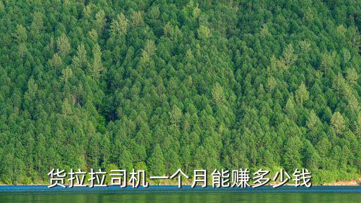 貨拉拉平臺深圳會員費多少錢,貨拉拉平臺還能走多遠