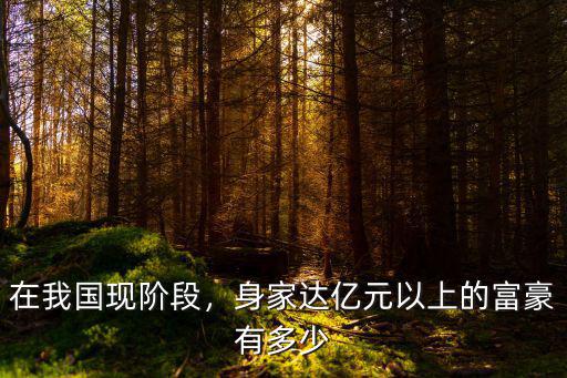 在我國現階段，身家達億元以上的富豪有多少