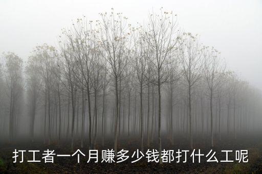 打工者一個月賺多少錢都打什么工呢