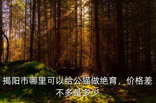 揭陽公貓絕育大概需要多少錢,揭陽市哪里可以給公貓做絕育