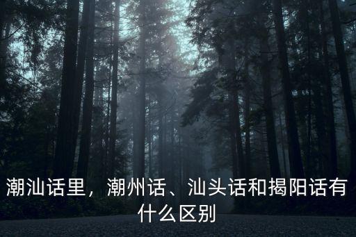 潮州話方言說多少都聽不進去,潮州一些小孩子不會說潮汕話