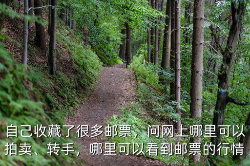廣州哪里可以賣老郵票,哪里可以看到郵票的行情