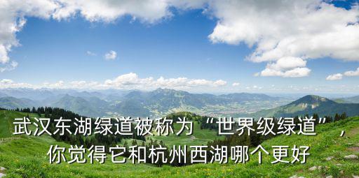 杭州西湖綠道多少公里,杭州今年已添489公里綠道