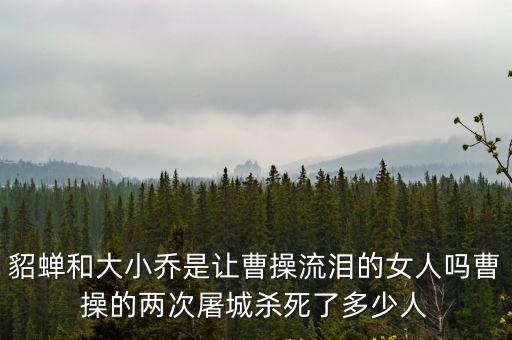 曹操屠了徐州多少人,曹操的兩次屠城殺死了多少人