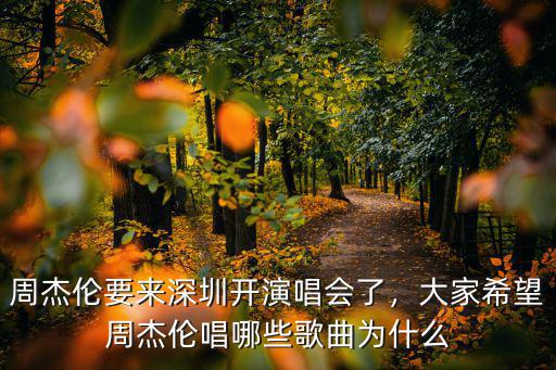 周杰倫深圳演唱會容納多少人,周杰倫要來深圳開演唱會了