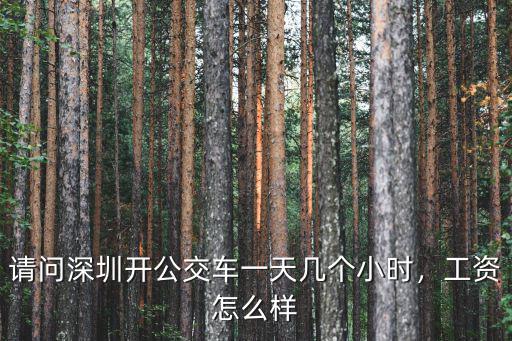 請問深圳開公交車一天幾個小時，工資怎么樣