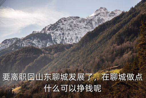 聊城萬達一年掙多少錢,一年賺多少錢