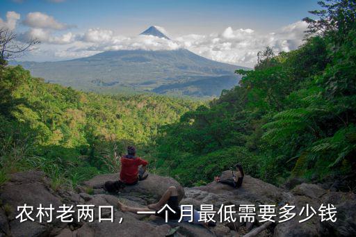 農(nóng)村老兩口，一個(gè)月最低需要多少錢