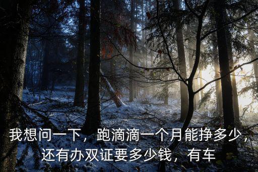 我想問一下，跑滴滴一個月能掙多少，還有辦雙證要多少錢，有車