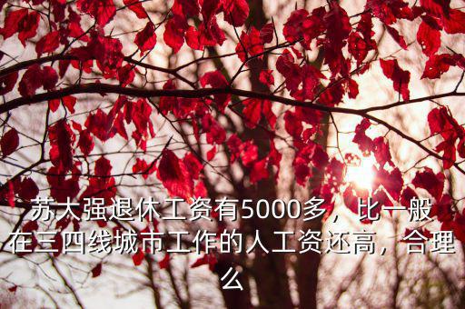 蘇大強退休工資有5000多，比一般在三四線城市工作的人工資還高，合理么