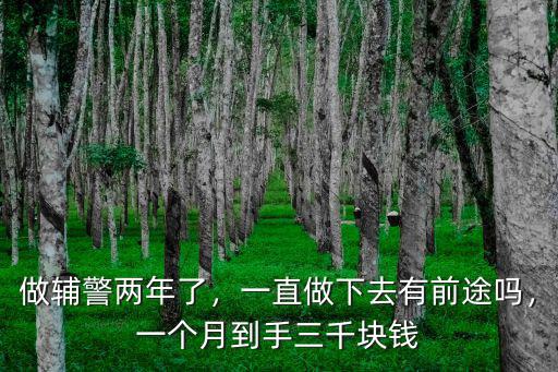 深圳輔警隊長多少錢一個月,深圳輔警待遇如何