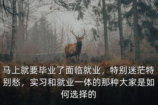 珠海實習就業怎么選,珠海發展潛力怎么樣