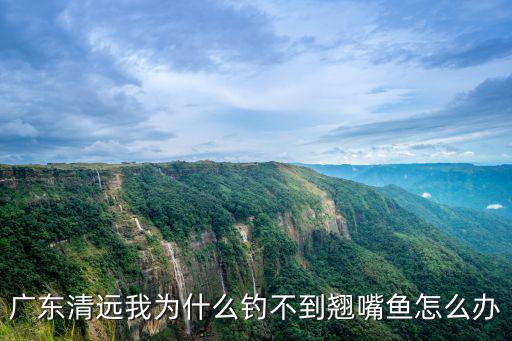 廣東清遠我為什么釣不到翹嘴魚怎么辦