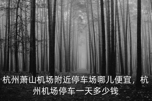 杭州停車場一夜多少錢,杭州機場停車一天多少錢