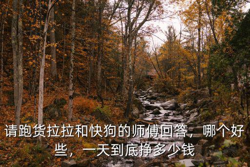 寧波跑貨拉拉一天能賺多少錢,貨拉拉司機一個月能賺多少錢
