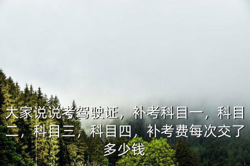 廣東考駕照補考一次多少錢,大家說說考駕駛證