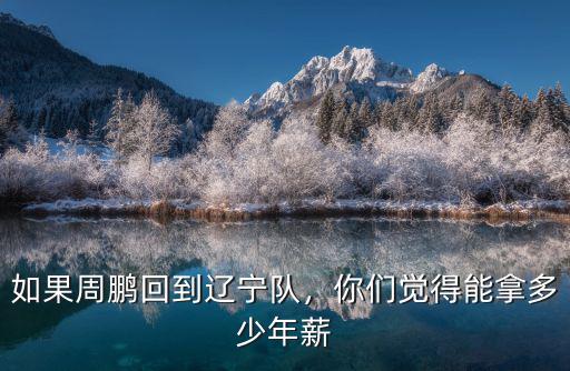 如果周鵬回到遼寧隊，你們覺得能拿多少年薪