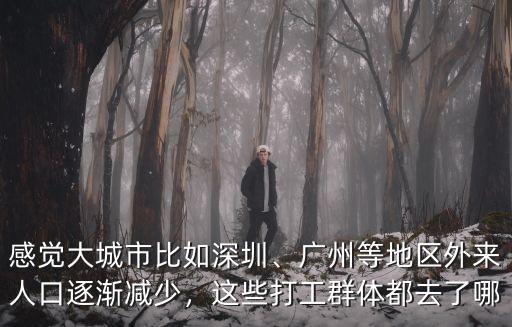 深圳外來人口一般多少,上海的外來人口大約有多少