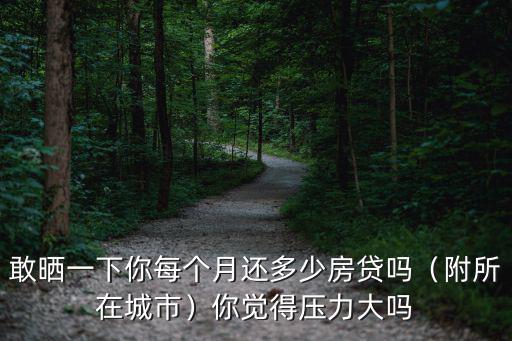 敢曬一下你每個月還多少房貸嗎（附所在城市）你覺得壓力大嗎