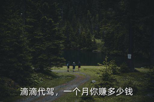滴滴代駕，一個月你賺多少錢