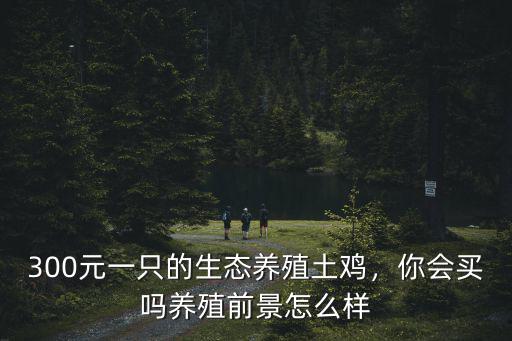 300元一只的生態養殖土雞，你會買嗎養殖前景怎么樣