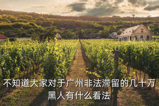 廣州有多少合法黑人,廣州有多少黑人
