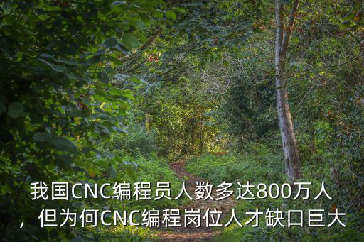 廣東技能人才缺口是多少,技能人才為何搶手