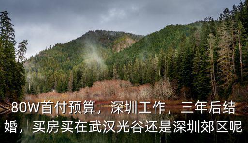 80W首付預算，深圳工作，三年后結婚，買房買在武漢光谷還是深圳郊區呢