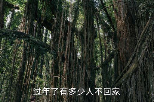 潮州有多少湖北人春節(jié)沒回家,過年了有多少人不回家
