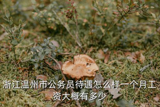 浙江城管工資多少錢一個月,浙江溫州市公務員待遇怎么樣