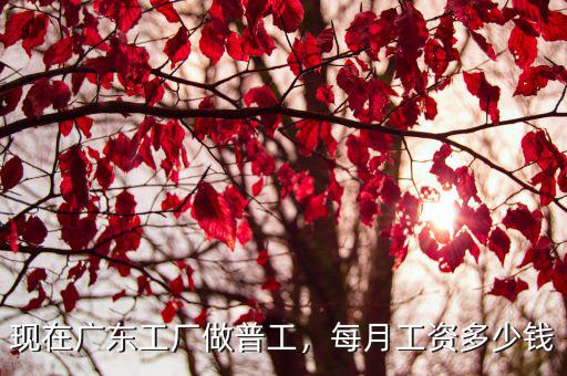 現(xiàn)在廣東工廠做普工，每月工資多少錢(qián)