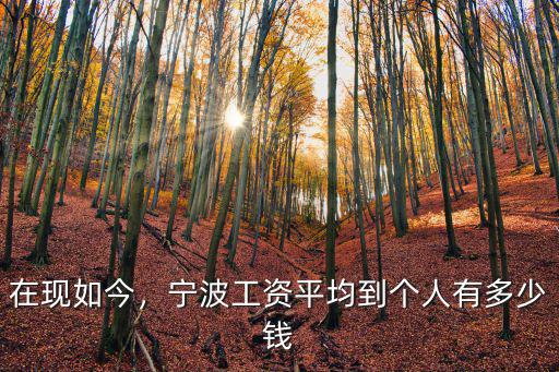 在現如今，寧波工資平均到個人有多少錢