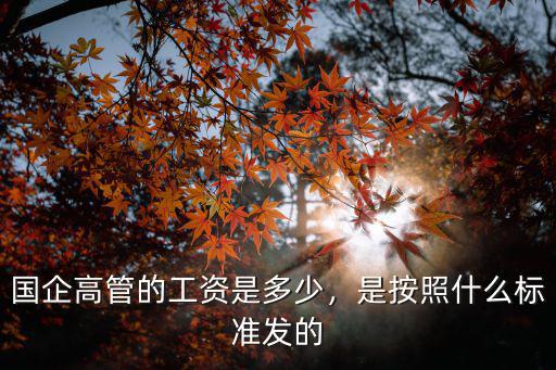 國企高管的工資是多少，是按照什么標準發的