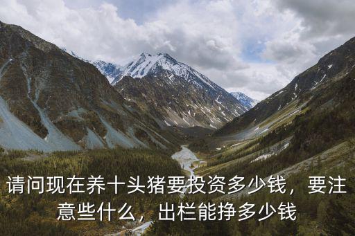 2018肇慶養(yǎng)豬出欄多少,現(xiàn)在養(yǎng)豬年出欄200頭