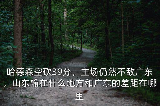 哈德森在廣東哪里,哈德森空砍39分