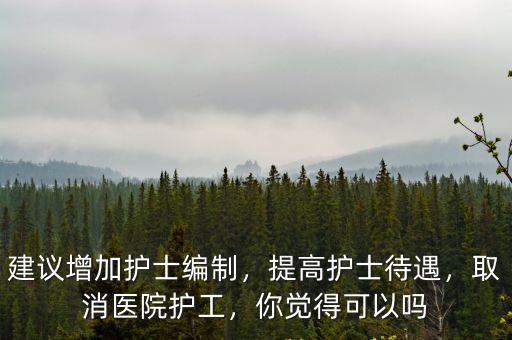 建議增加護士編制，提高護士待遇，取消醫院護工，你覺得可以嗎