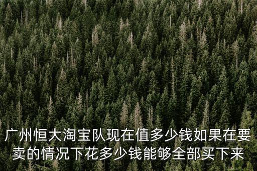 廣州恒大淘寶隊現在值多少錢如果在要賣的情況下花多少錢能夠全部買下來