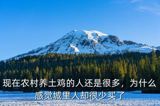 陽(yáng)江養(yǎng)土雞有多少人,養(yǎng)正宗土雞的人有出路嗎