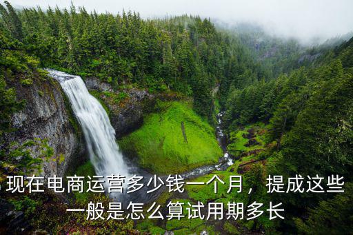 現在電商運營多少錢一個月，提成這些一般是怎么算試用期多長