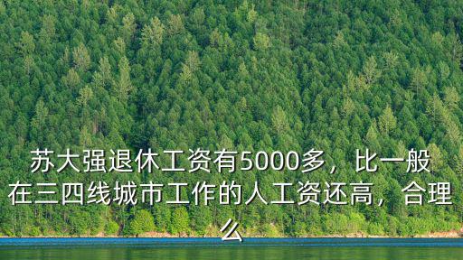 蘇大強退休工資有5000多，比一般在三四線城市工作的人工資還高，合理么
