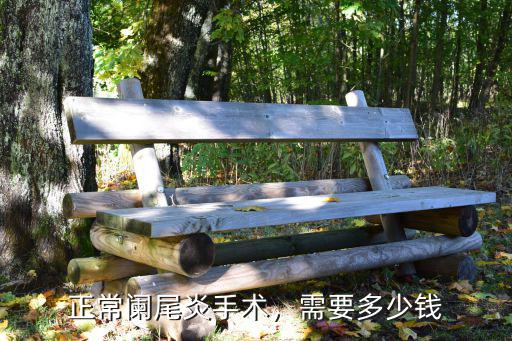 闌尾炎在中山動手術要多少錢,現在做闌尾手術需要多少錢